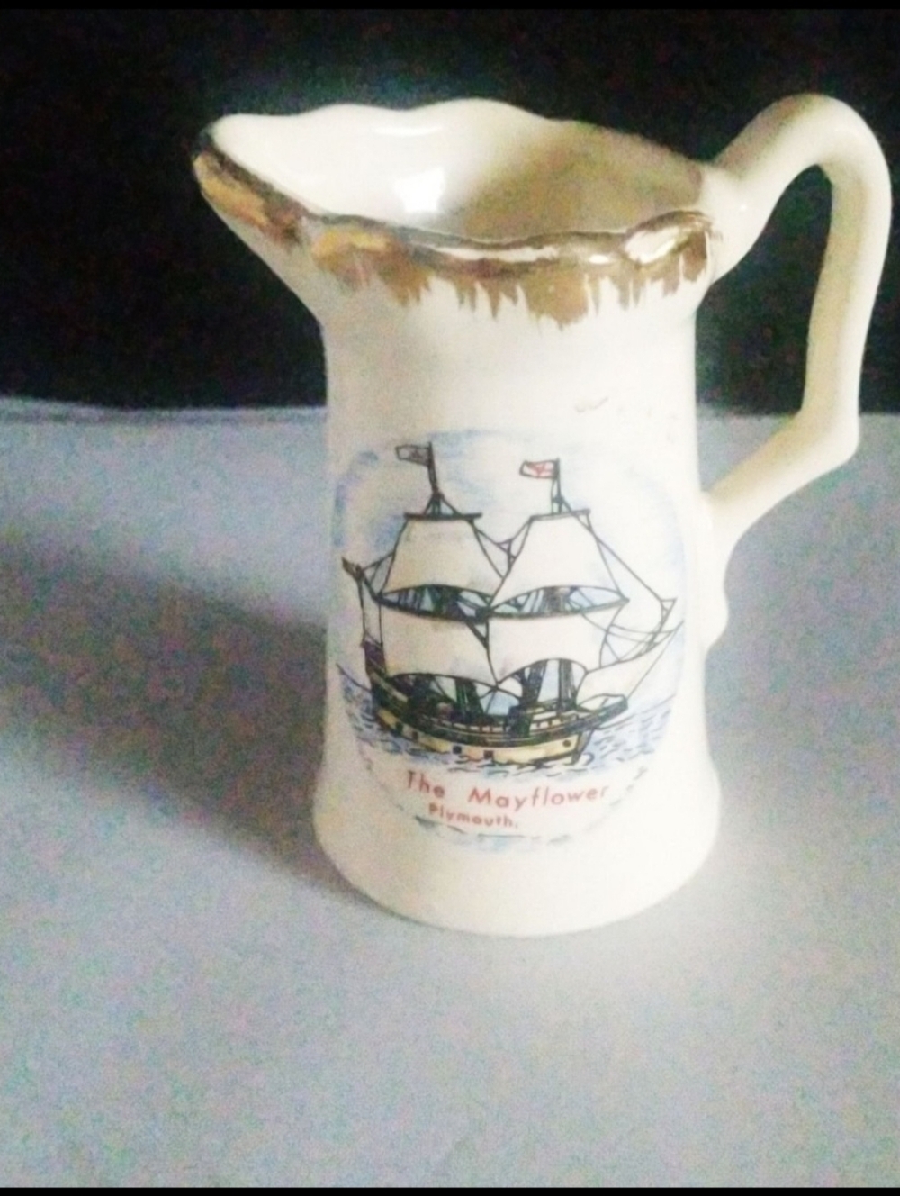 Mini Pitcher Mayflower, Plymouth Massachusetts